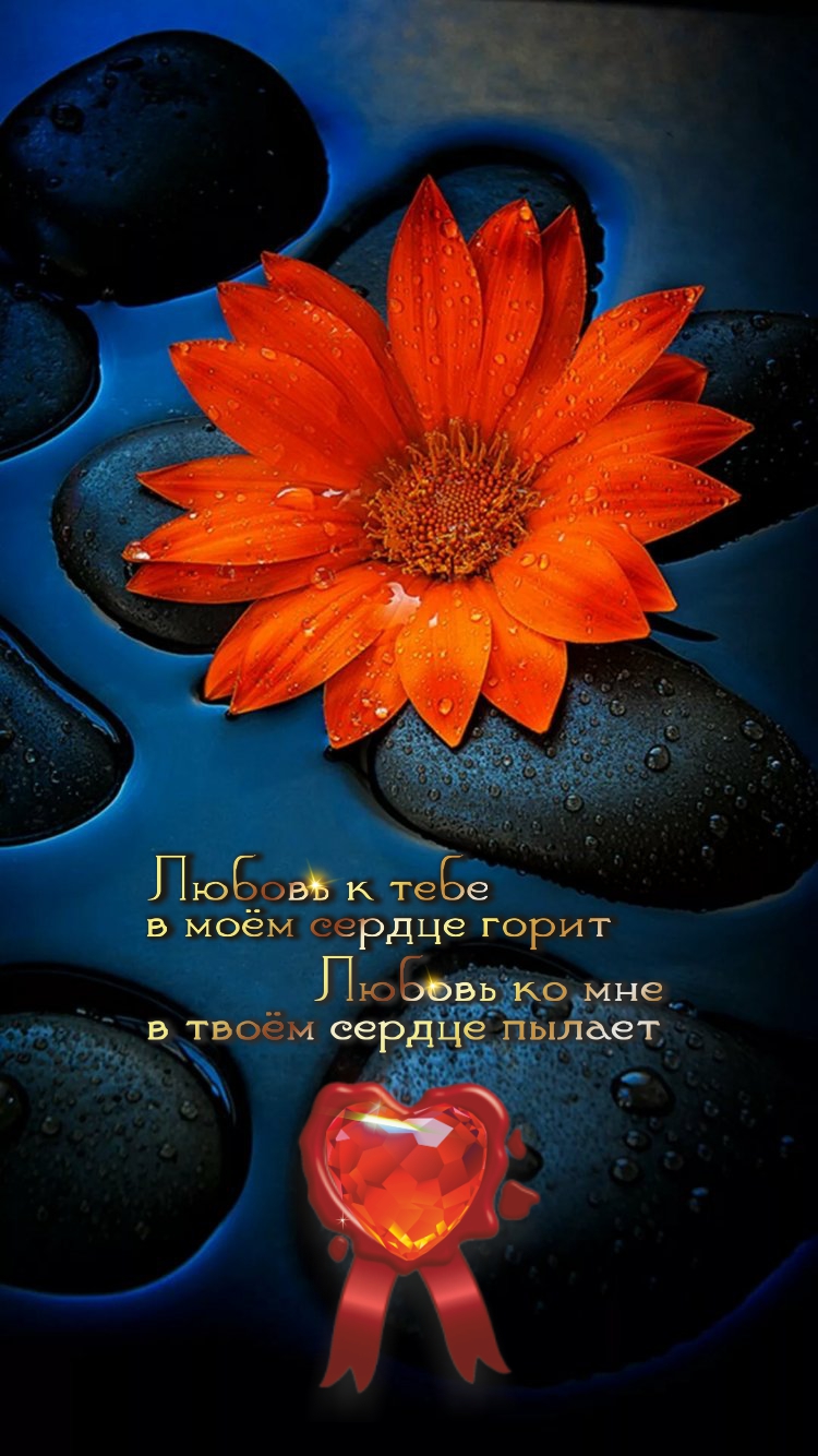 Не ценящий преданность рискует быть преданным.