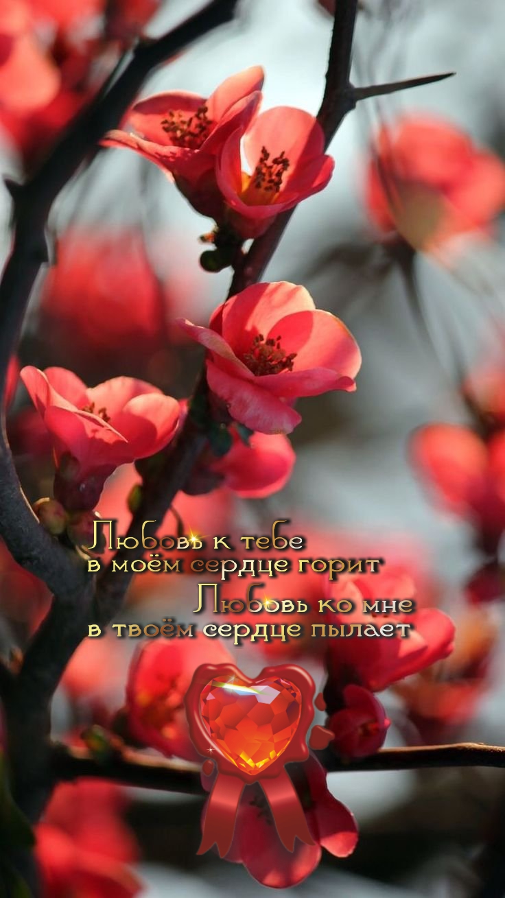 Дружба &mdash; это верность до конца.