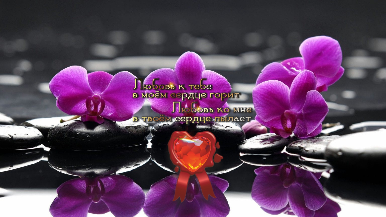 Верность- это не чувство&hellip; это решение&hellip;