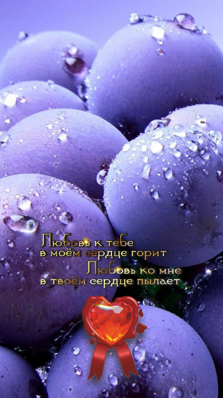 Коль ты не предан никому &mdash; знать предан ты всеми.