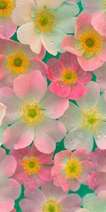 Будь тем, кто ты есть и радость проснется в тебе!