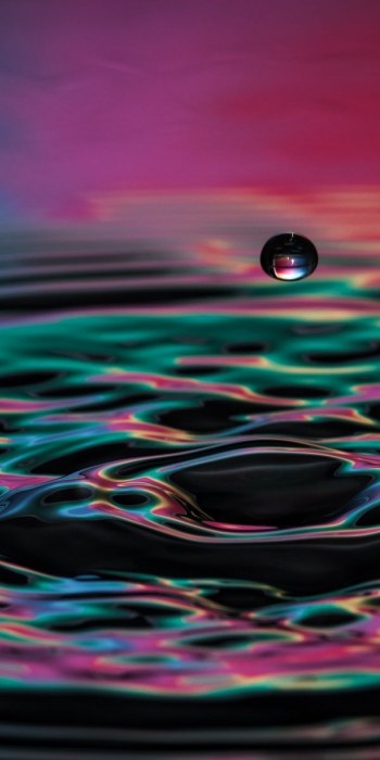 Всем нужны друзья.