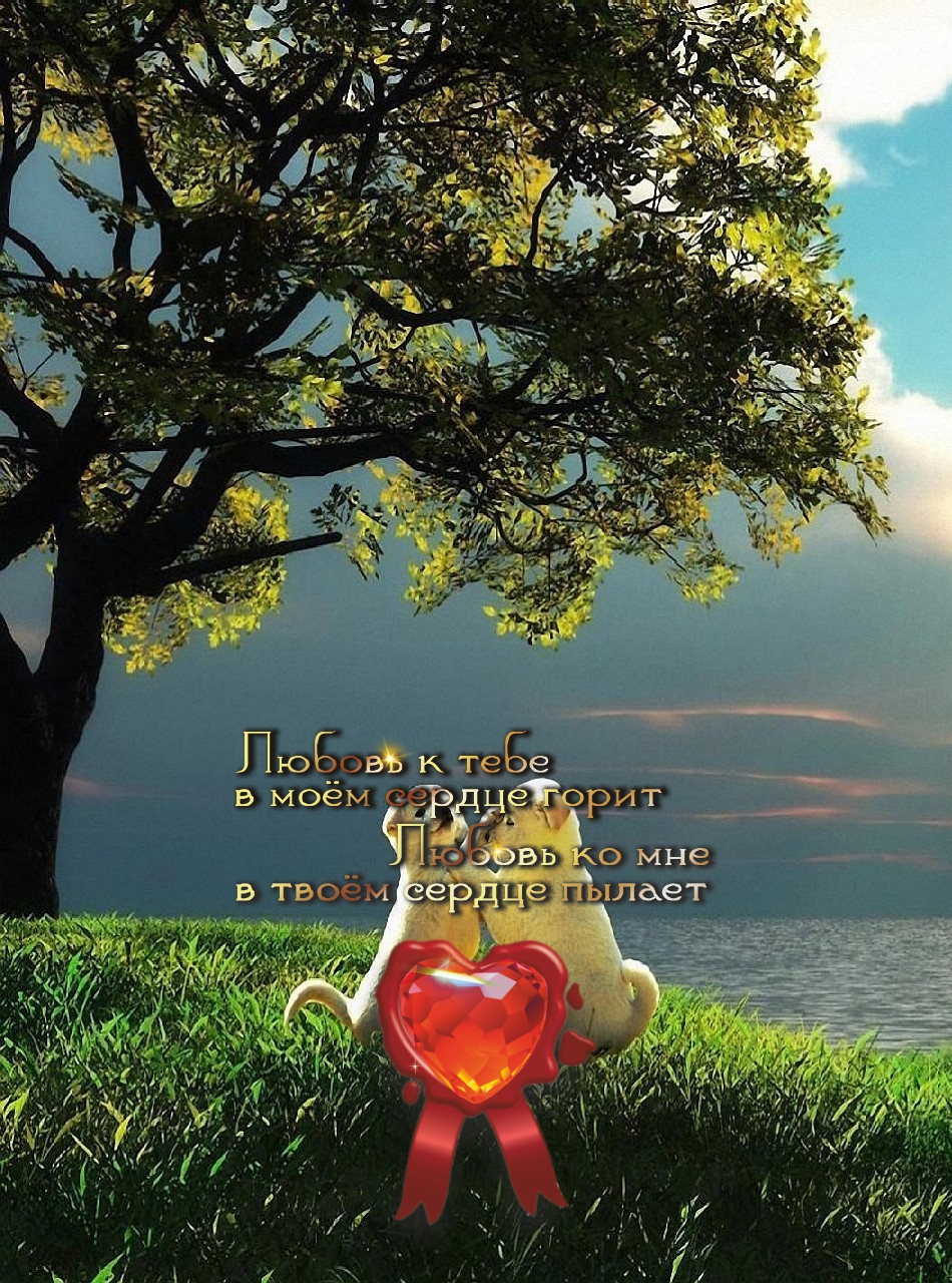 Доверие и уважение &mdash; это главные условия дружбы.