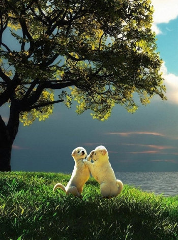 Доверие и уважение &mdash; это главные условия дружбы.