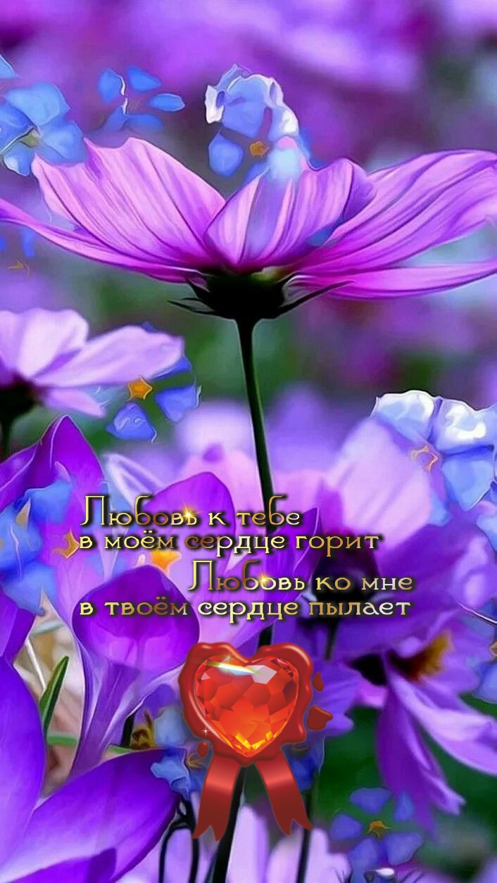 Жизнь &mdash; борьба, в борьбе &mdash; счастье.