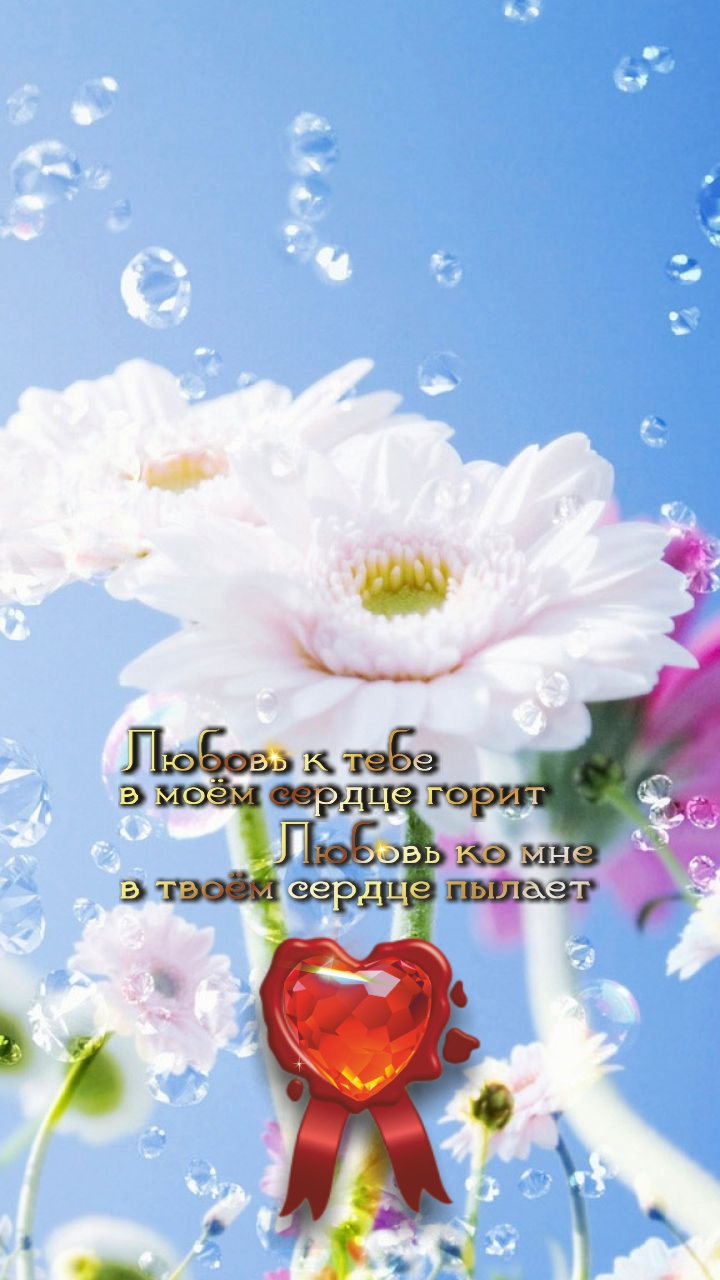 Пусть Солнце светит над тобою и Любовь прибудет.