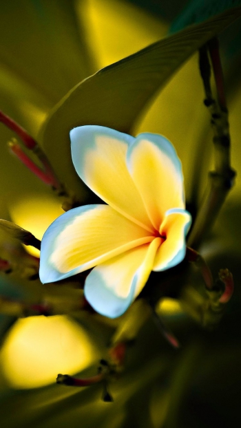 Когда знаешь ЗАЧЕМ, преодолеваются любые как&hellip;