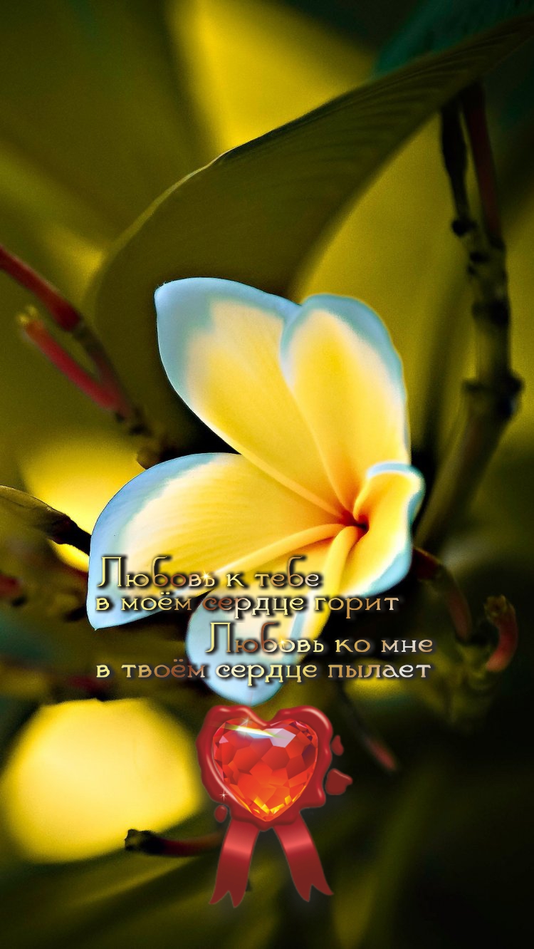 Когда знаешь ЗАЧЕМ, преодолеваются любые как&hellip;