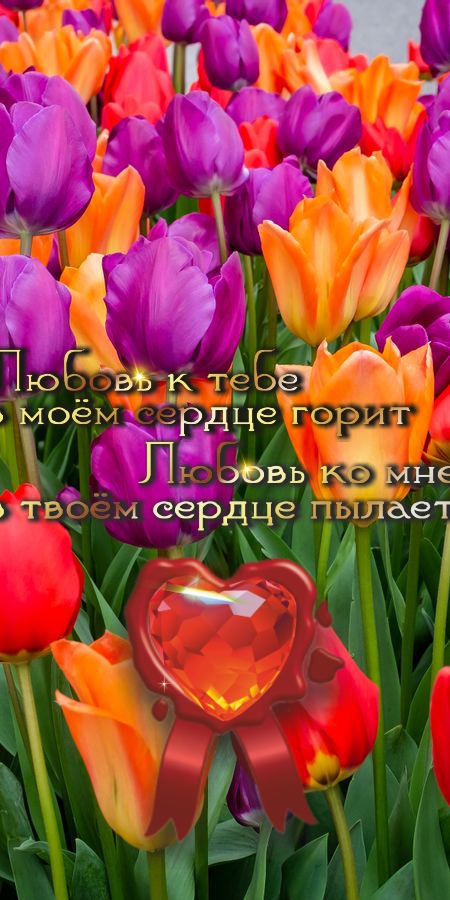 Мало встать рано утром, надо еще перестать спать.