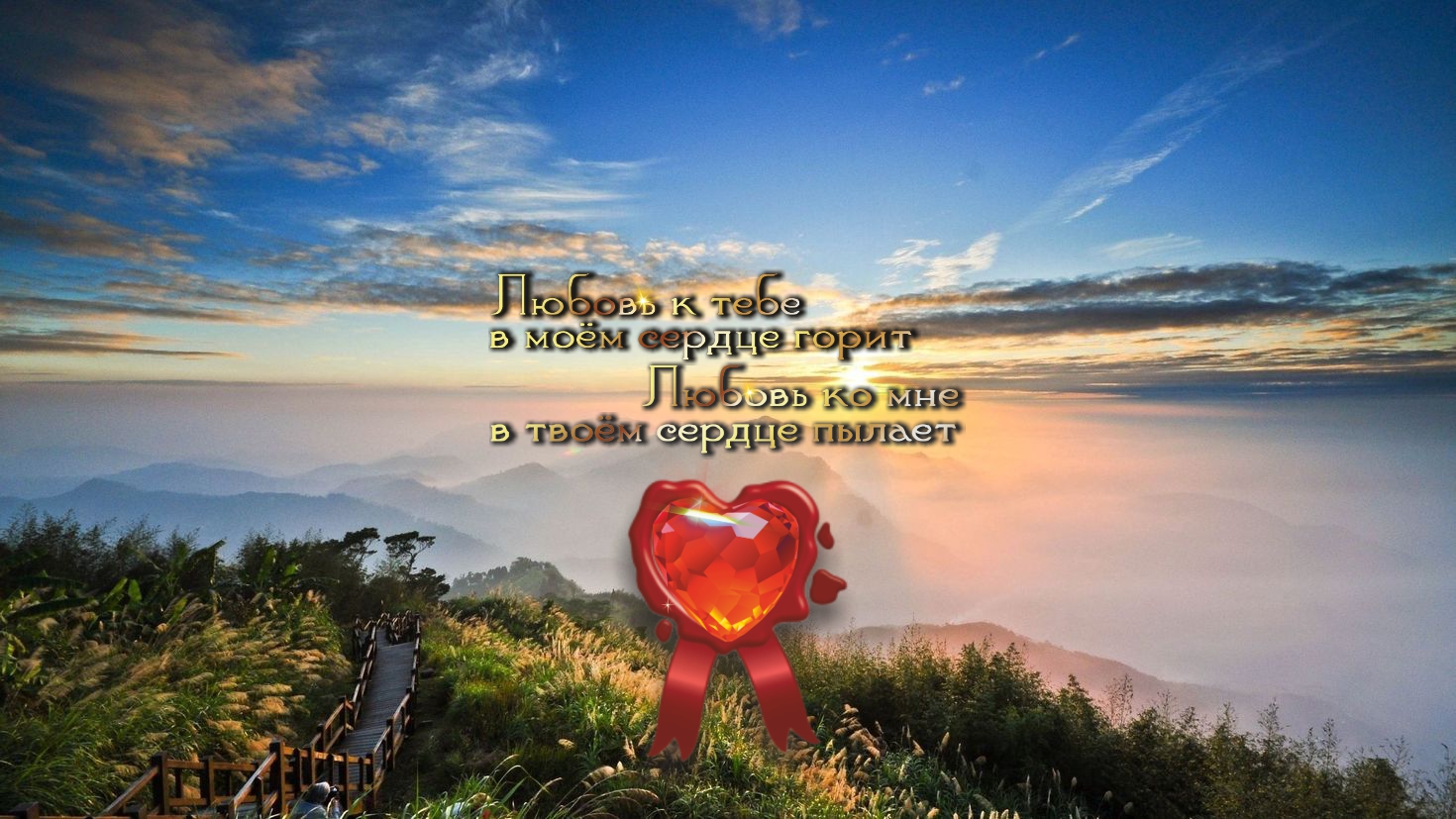 Утром, когда восходит солнце, позвольте ему взойти и в вас тоже.