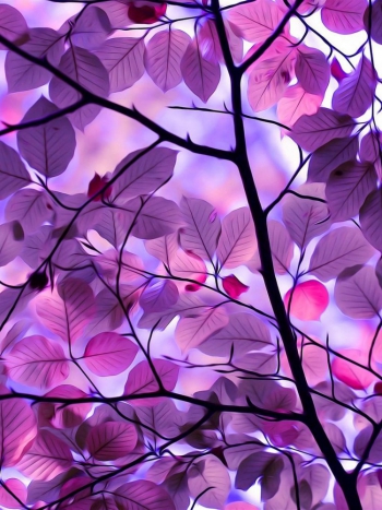 То, что поглощает ваш разум, контролирует вашу жизнь.