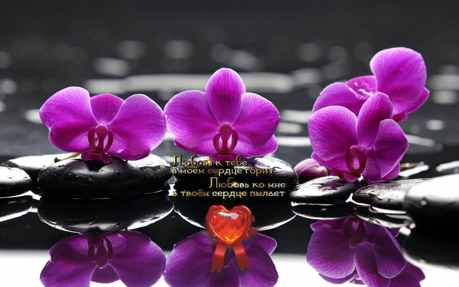 Простота есть основа утонченности.