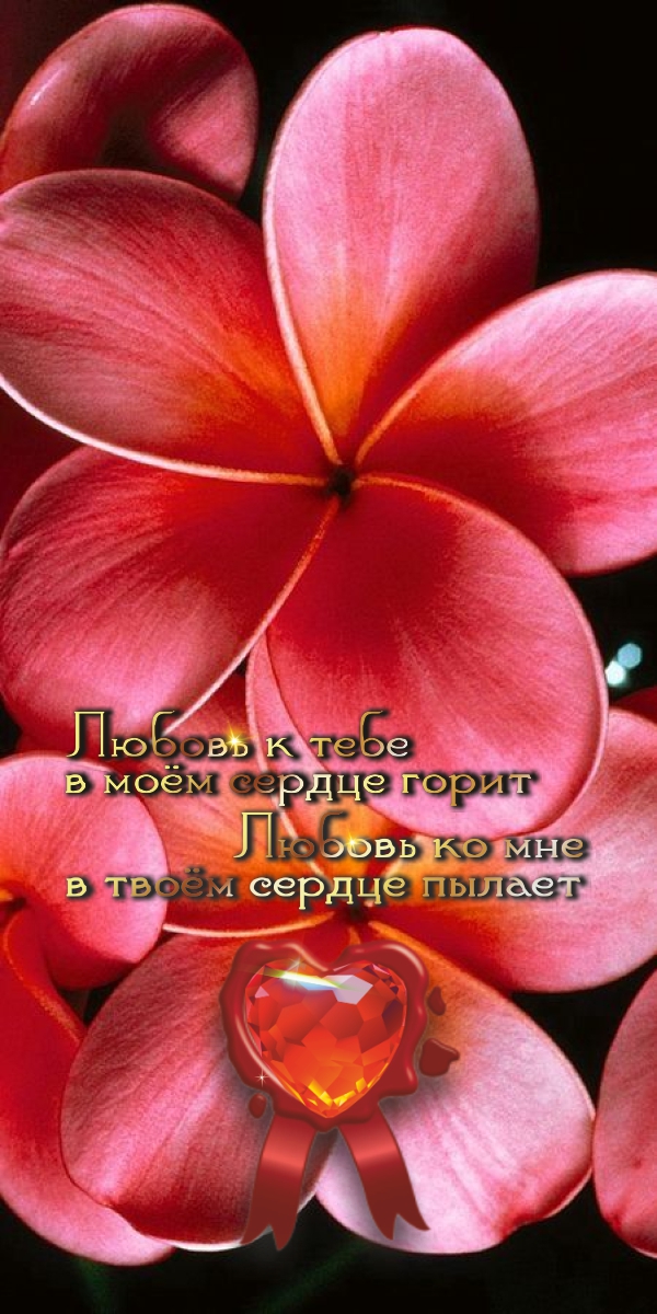 Не усложняй. Пусть происходит то, что происходит.