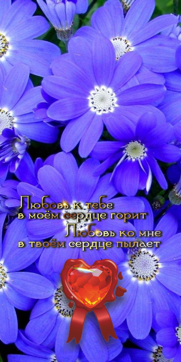 Если ты плачешь не от счастья &mdash; то перестань.