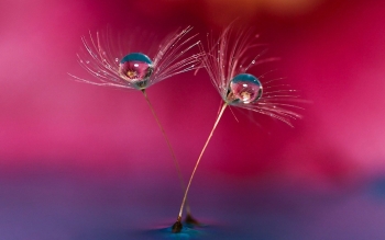 Мир, который ты ищешь, существует лишь потому, что ты смотришь на него изнутри.