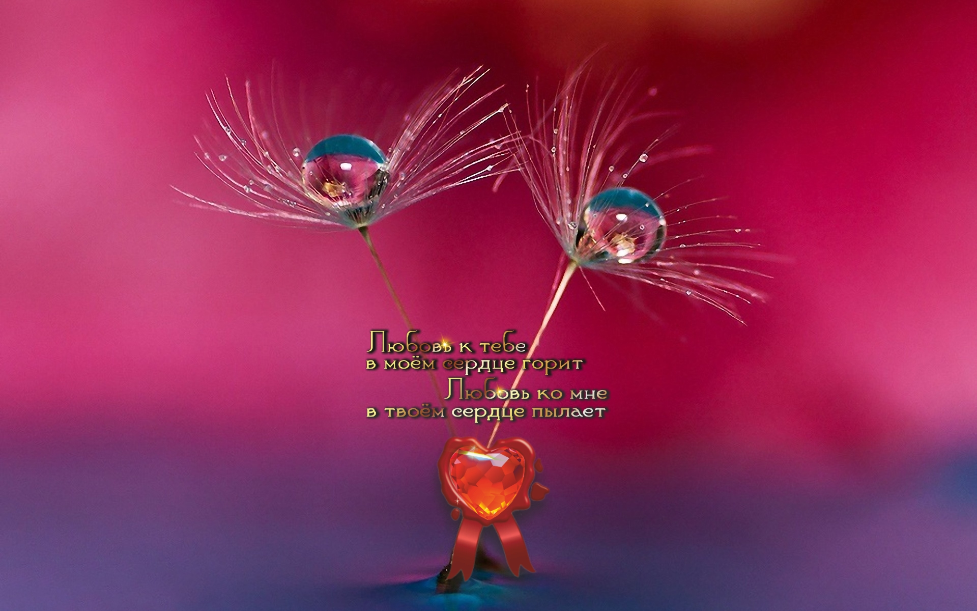 Мир, который ты ищешь, существует лишь потому, что ты смотришь на него изнутри.