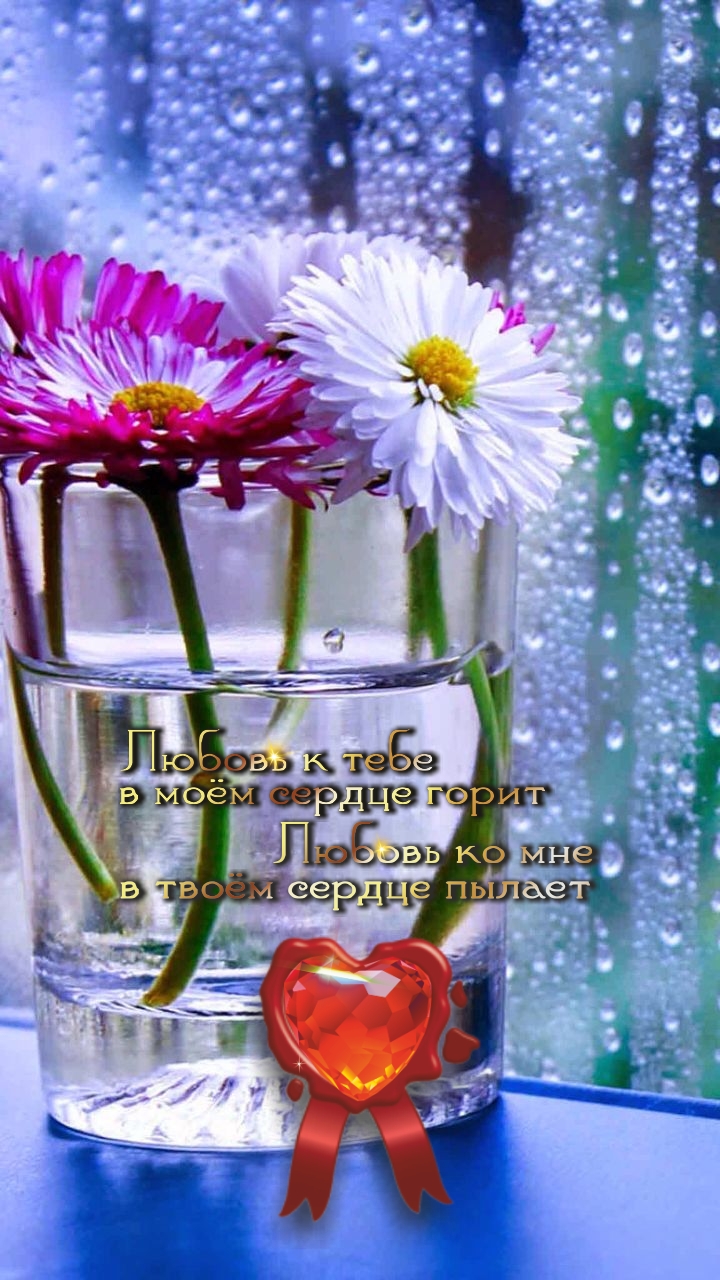 Красота кроется в простоте.