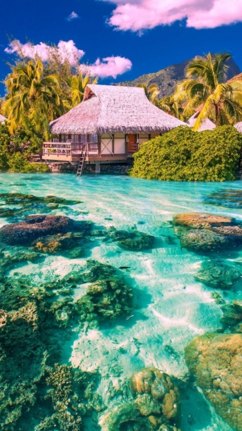 Позитивный ум. Позитивные вибрации. Позитивная жизнь.