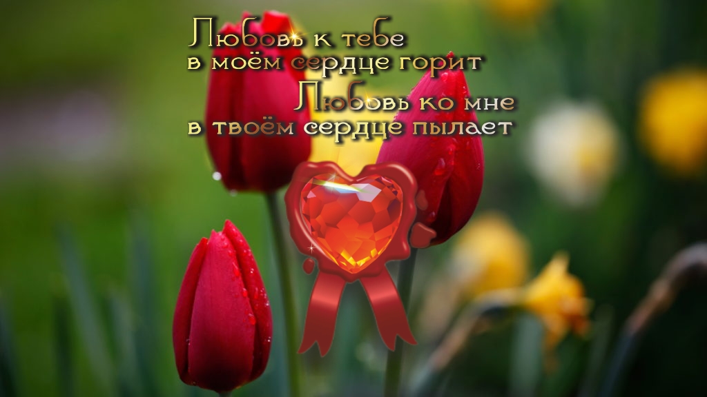 Моя миссия в жизни - не просто выжить, но и процветать.