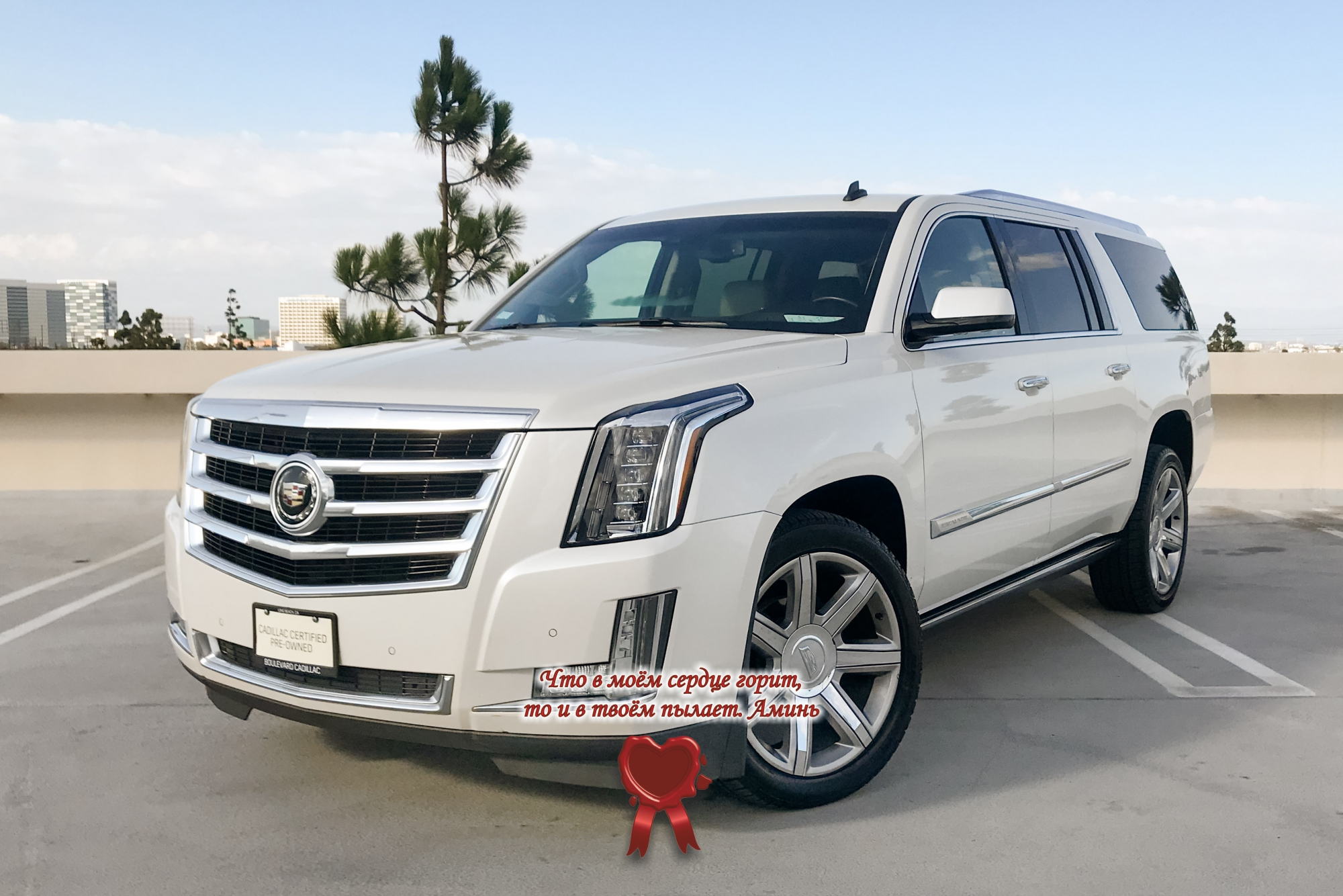 Мой белый Кадиллак