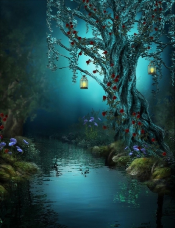 Магическое место