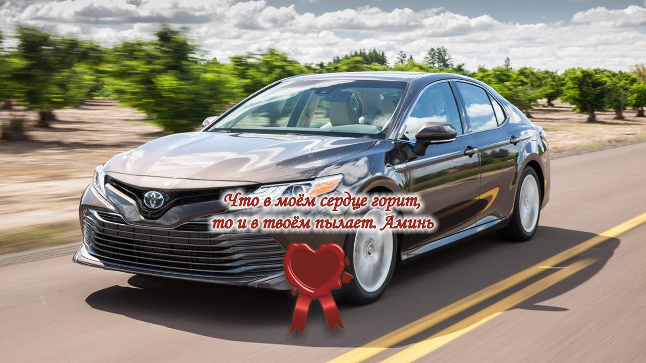 Моя серая Тойота