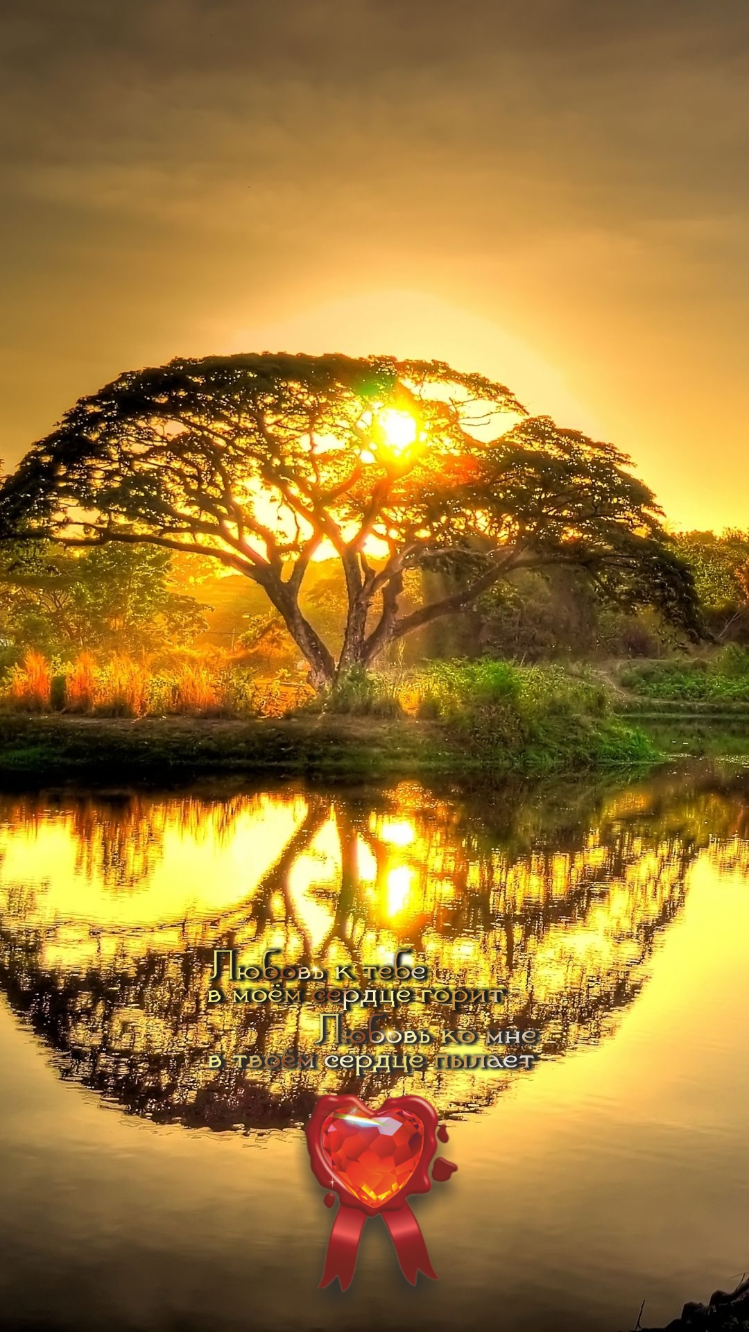 Природа не делает ничего лишнего.