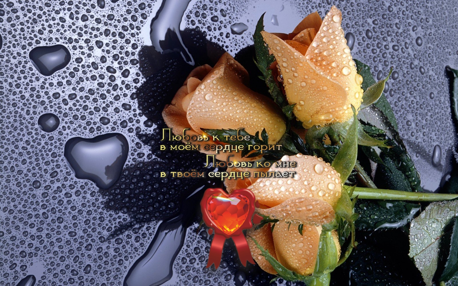 На земле нет рая, но есть его частички.