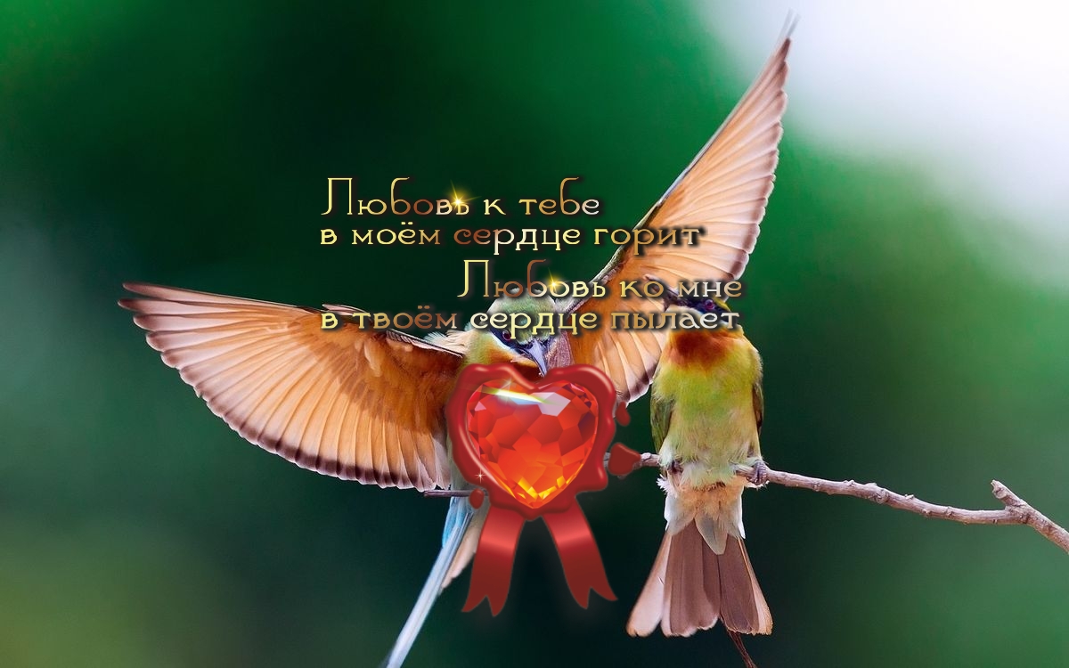 Семья для человека &ndash; это корни, друзья &ndash; это стебель, а любовь &ndash; это цветок.