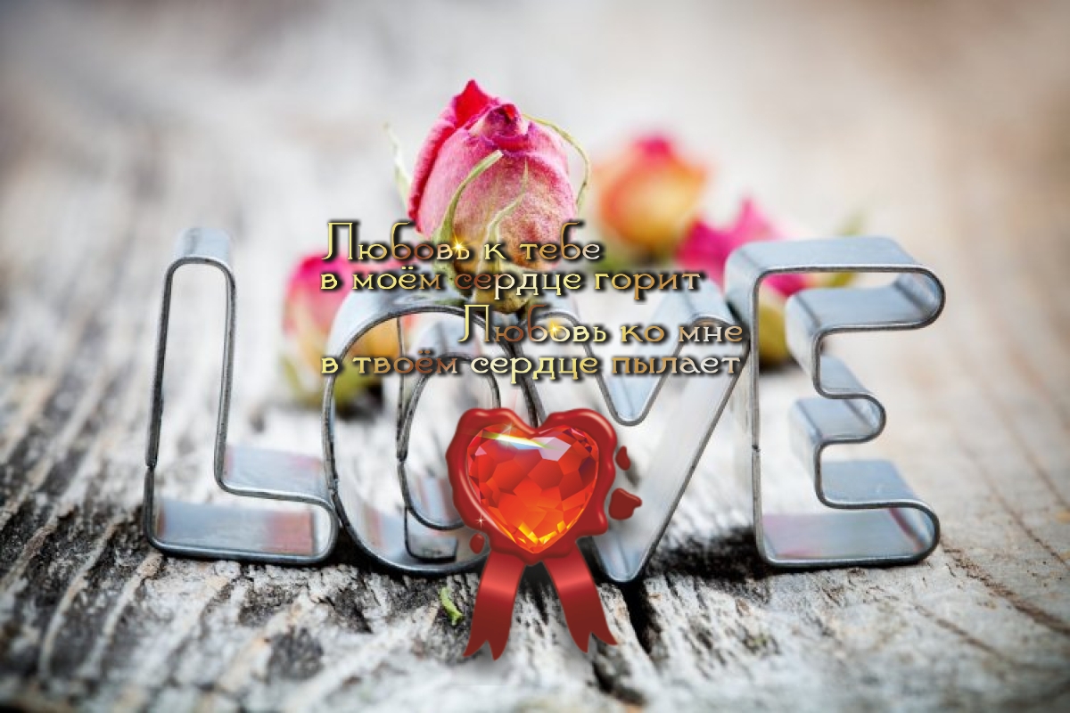 В семейной жизни самый важный винт &mdash; это любовь&hellip;