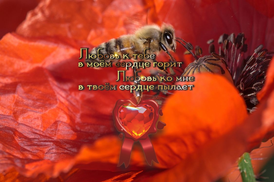 Семья ‒ единственное настоящее богатство.