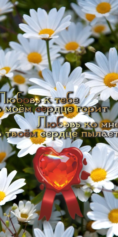 Небо всегда покровительствует невинности!