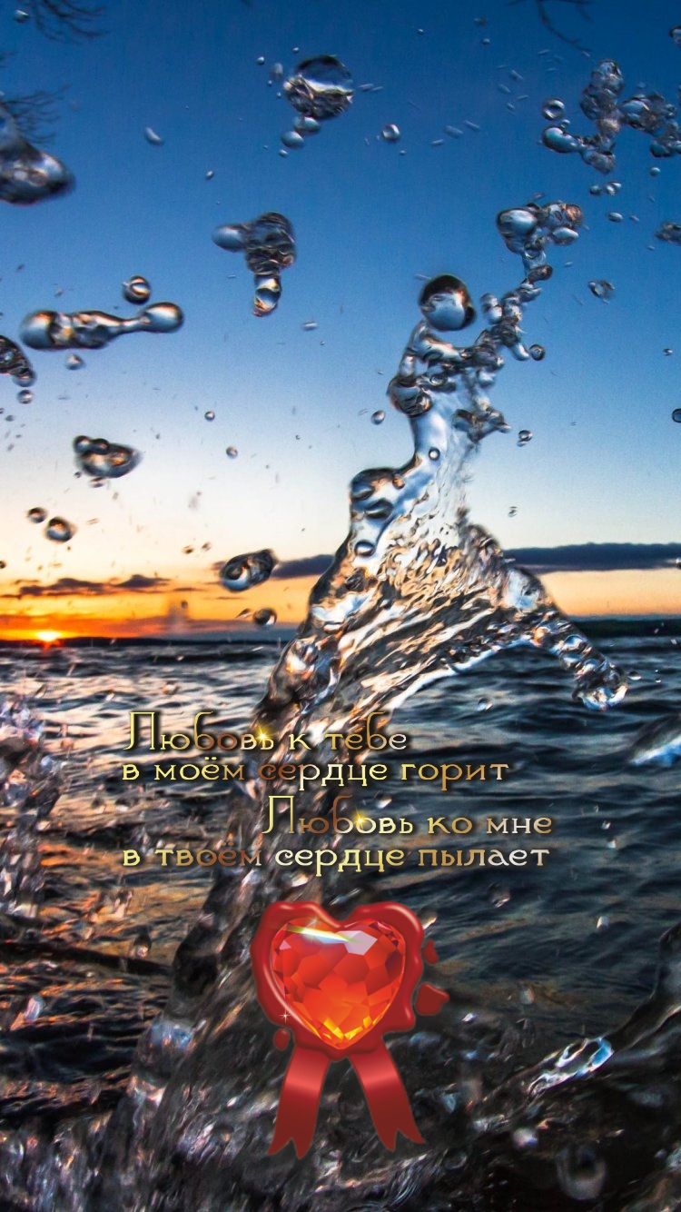 Кораблю безопаснее всего в гавани. Но он не для того строился.