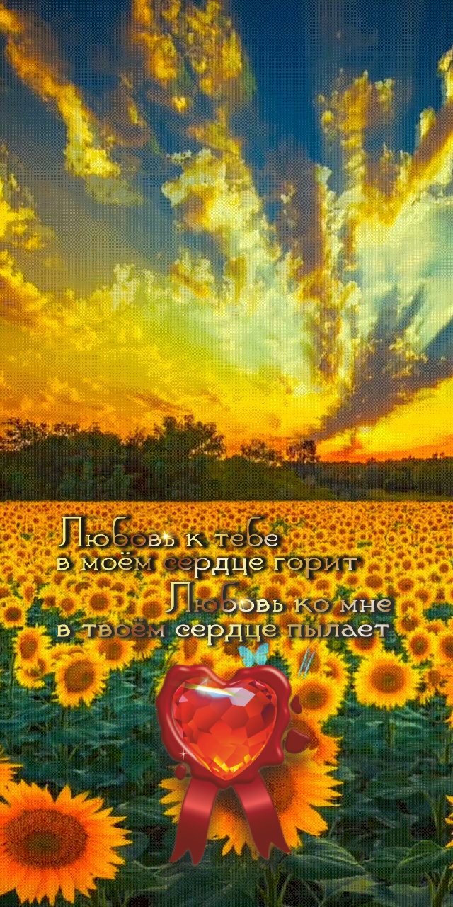 Не жди благодарности от людей, жди благодарности только от Бога.