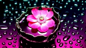 Десять минут счастья в день, это уже весьма неплохо.