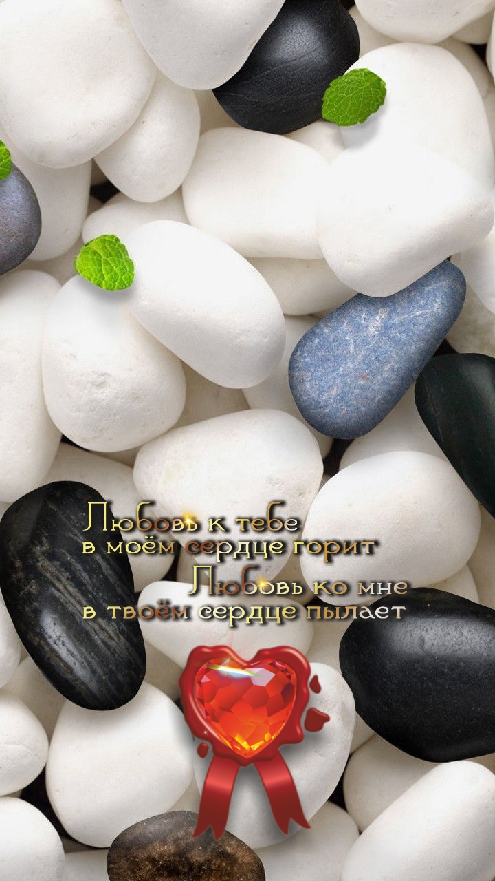 Счастье &mdash; когда есть о ком заботиться!