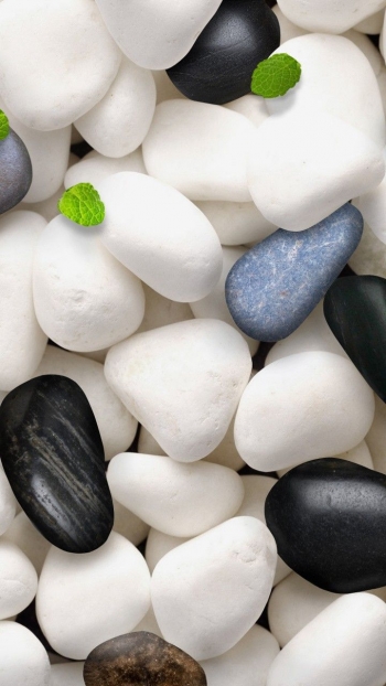 Счастье &mdash; когда есть о ком заботиться!