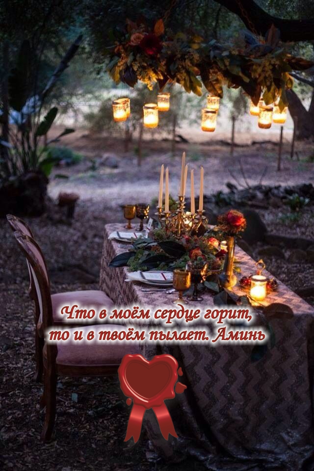 Роскошный ужин на природе