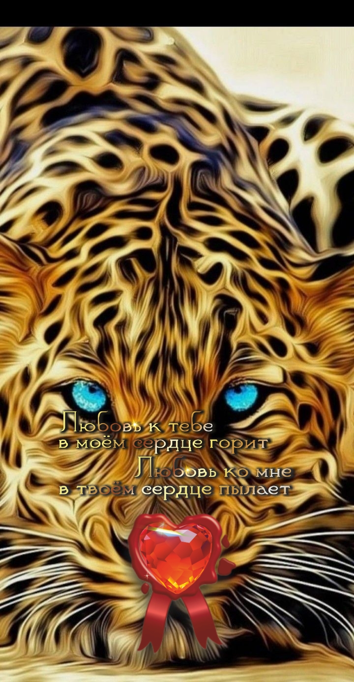 Наслаждайся жизнью, другой не будет.