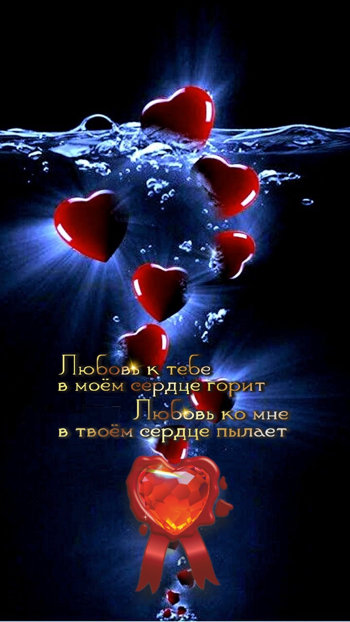 Никогда не позволяй страху встать на пути к твоей мечте.