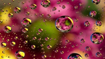 Надо всегда быть радостным. Если радость кончается, ищи, в чём ошибся.