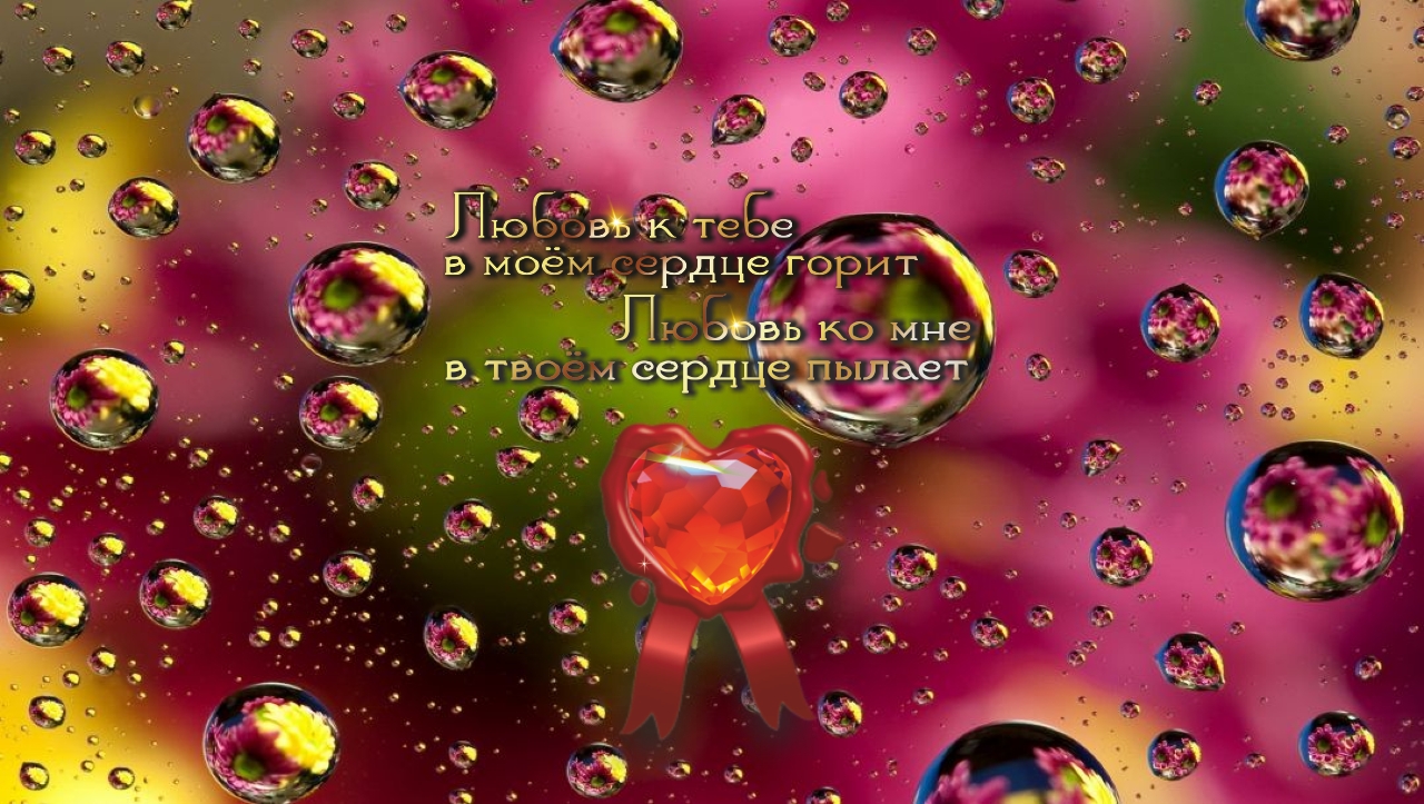 Надо всегда быть радостным. Если радость кончается, ищи, в чём ошибся.