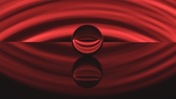 Куда бы вы ни шли, идите туда со всем сердцем.