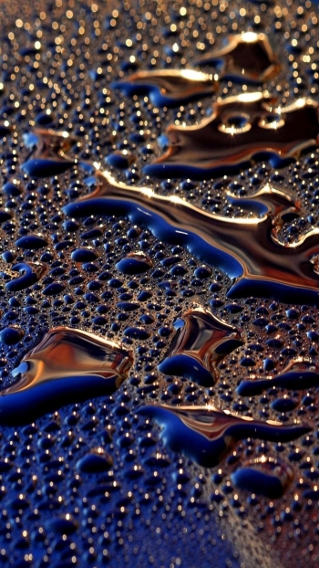 Следуй за своими желаниями, и успех последует за тобой.