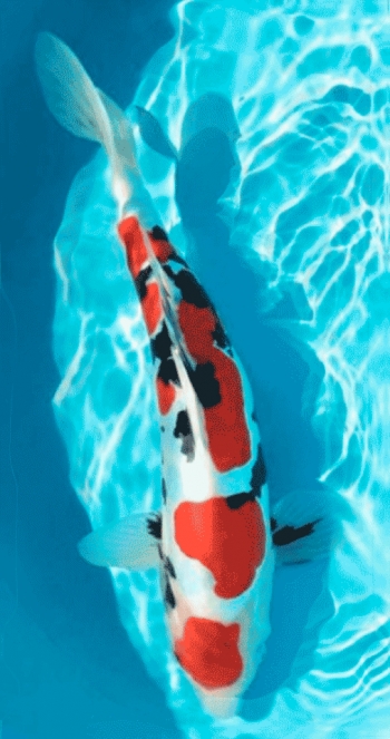 Кем бы ты ни был &mdash; будь лучше.