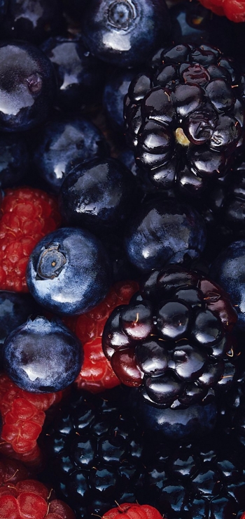 Обязательно дружите с теми, кто лучше вас. Будете мучиться, но расти.