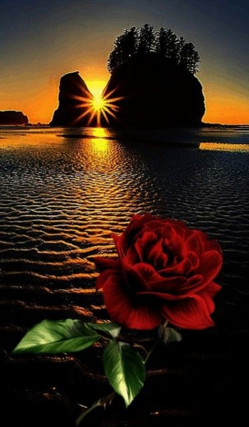 Утро было прекрасно уже тем, что оно наступило.