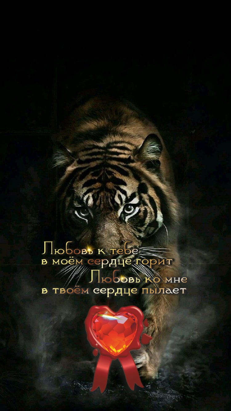 Храброму &mdash; вся земля родина.