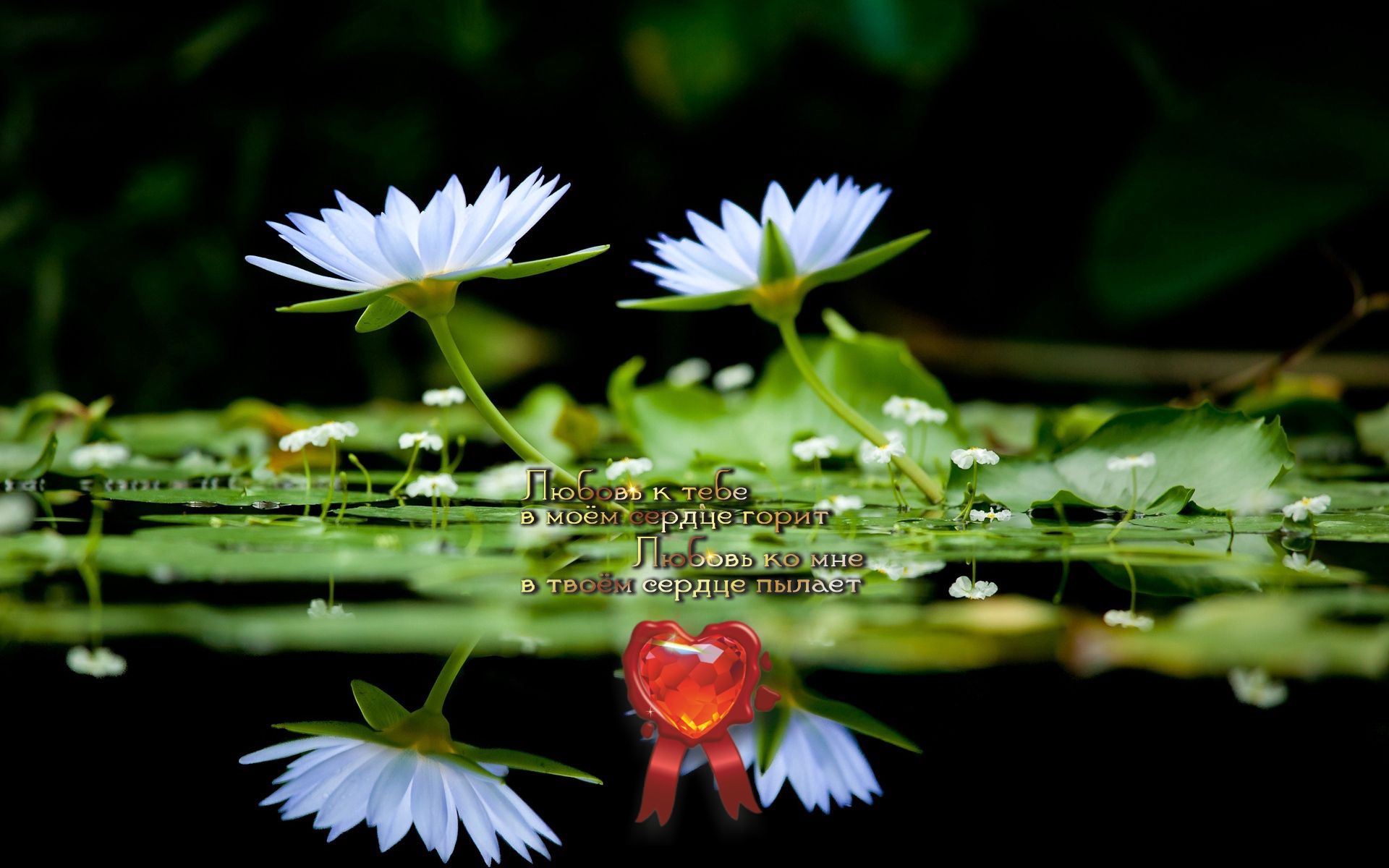 Быть спокойным &mdash; немалое благо, это почти быть счастливым.