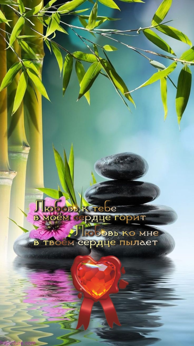 Нет счастья, равного спокойствию.